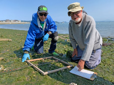 Sound Water Stewards Of Island County
